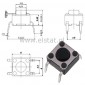 MicroSwitch  6x6.0mm  h=6mm ( 2mm )  4 pin