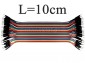 Zestaw 40szt kabli połączeniowych M-M  ( 10cm)